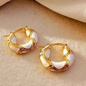 Luxurious and high-end temperament dripping glaze leopard print circle earrings